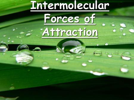 Intermolecular Forces of Attraction. CA Standards Students know the atoms and molecules in liquids move in a random pattern relative to one another because.