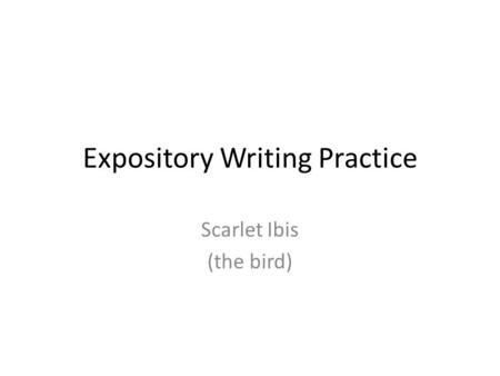 Expository Writing Practice