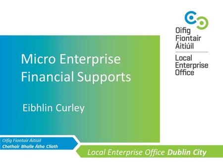 Oifig Fiontair Áitiúil Chathair Bhaile Átha Cliath Local Enterprise Office Dublin City __________ Micro Enterprise Financial Supports Eibhlin Curley.