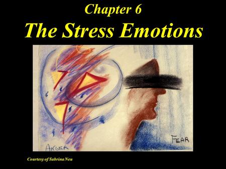 Chapter 6 The Stress Emotions Courtesy of Sabrina Neu.