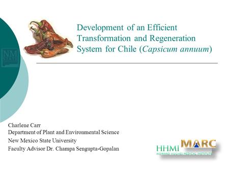 Charlene Carr Department of Plant and Environmental Science New Mexico State University Faculty Advisor Dr. Champa Sengupta-Gopalan Development of an Efficient.