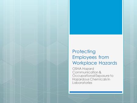 Protecting Employees from Workplace Hazards