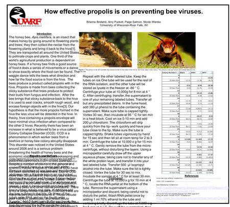 How effective propolis is on preventing bee viruses. Brianna Breiland, Amy Puckett, Paige Salmon, Nicole Wienke 1University of Wisconsin-River Falls, WI.