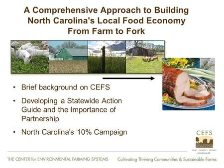 A Comprehensive Approach to Building North Carolina's Local Food Economy From Farm to Fork Brief background on CEFS Developing a Statewide Action Guide.
