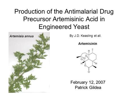 Production of the Antimalarial Drug Precursor Artemisinic Acid in Engineered Yeast February 12, 2007 Patrick Gildea By J.D. Keasling et all.