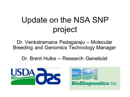 Update on the NSA SNP project Dr. Venkatramana Pedagaraju – Molecular Breeding and Genomics Technology Manager Dr. Brent Hulke -- Research Geneticist.