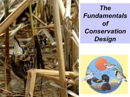The Fundamentals of Conservation Design Image by Rex Johnson.
