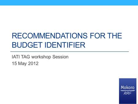 RECOMMENDATIONS FOR THE BUDGET IDENTIFIER IATI TAG workshop Session 15 May 2012.