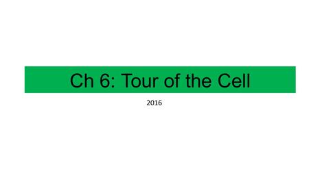 Ch 6: Tour of the Cell 2016. Chapter 6: Cells From Topic 1.1 Nature of science: Looking for trends and discrepancies—although most organisms conform to.