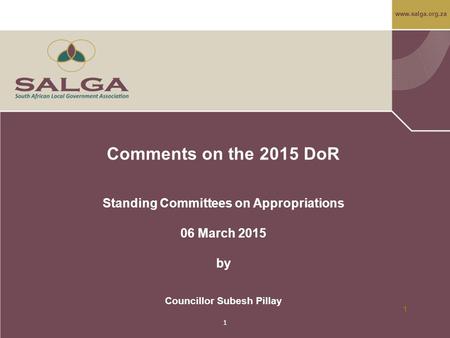 Www.salga.org.za 1 Comments on the 2015 DoR Standing Committees on Appropriations 06 March 2015 by Councillor Subesh Pillay 1.