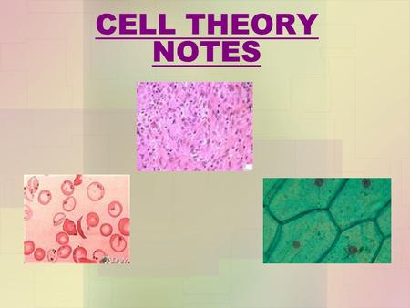 CELL THEORY NOTES.