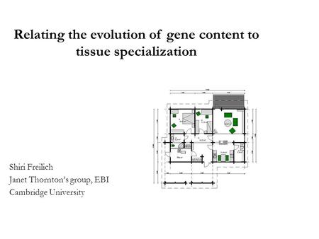 Shiri Freilich Janet Thornton’s group, EBI Cambridge University Relating the evolution of gene content to tissue specialization.