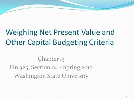 Weighing Net Present Value and Other Capital Budgeting Criteria