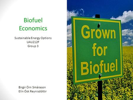 Biofuel Economics Birgir Örn Smárason Elín Ósk Reynisdóttir Sustainable Energy Options UAU212F Group 3.