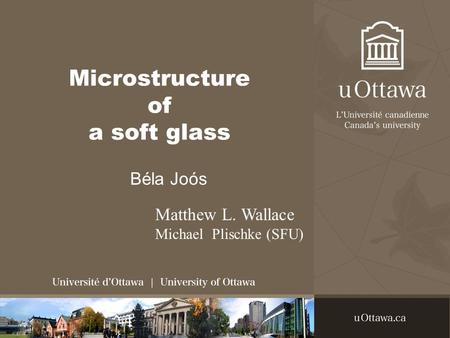 Microstructure of a soft glass Béla Joós Matthew L. Wallace Michael Plischke (SFU)