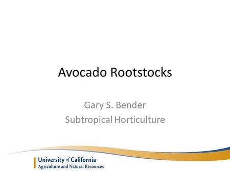 Avocado Rootstocks Gary S. Bender Subtropical Horticulture.