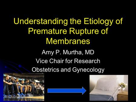 Understanding the Etiology of Premature Rupture of Membranes Amy P. Murtha, MD Vice Chair for Research Obstetrics and Gynecology.