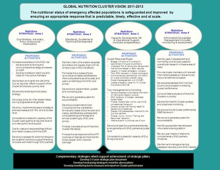 PROPOSED ACTIVITIES Nutrition STRATEGIC Area 4 Information/Knowledge Management (includes monitoring & assessment) GLOBAL NUTRITION CLUSTER VISION: 2011-2013.