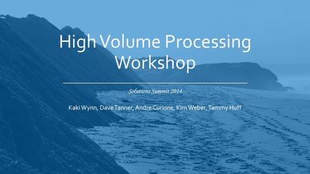 Solutions Summit 2014 High Volume Processing Workshop Kaki Wynn, Dave Tanner, Andre Curione, Kim Weber, Tammy Huff.