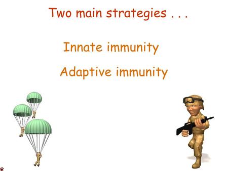 Two main strategies... Innate immunity Adaptive immunity.