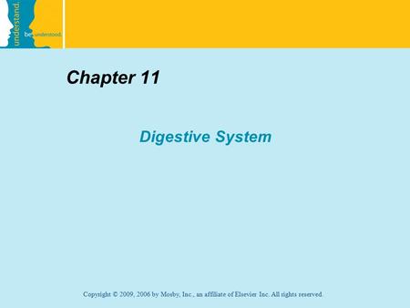 Chapter 11 Digestive System