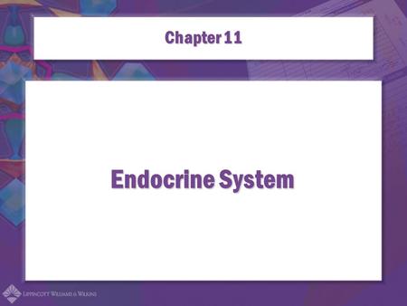 Endocrine System Chapter 11. Combining Forms for the Endocrine System aden/oadenoma adren/oadrenotrophic adrenal/oadrenalopathy andr/oandrogenous.