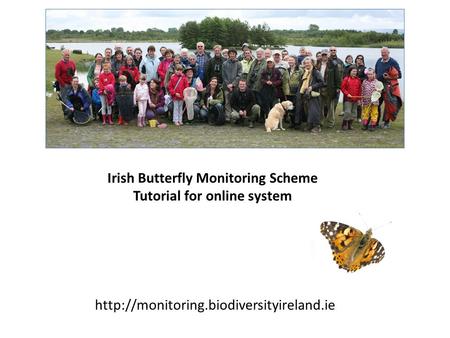 Irish Butterfly Monitoring Scheme Tutorial for online system