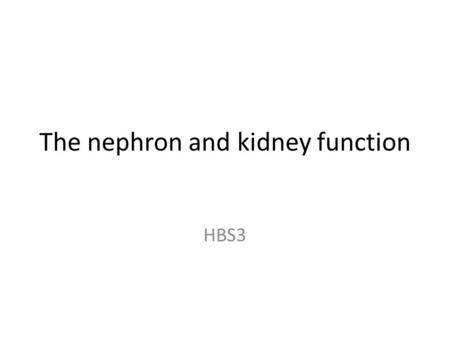 The nephron and kidney function