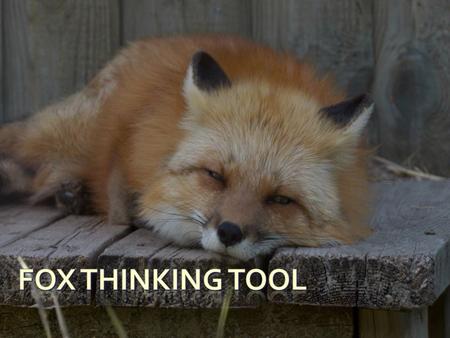 Fox Thinking Tool.