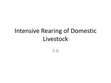Intensive Rearing of Domestic Livestock 5.6. Learning objectives: How does rearing animals intensively increase the efficiency of energy conversion?