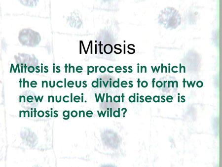 1 1 Mitosis Mitosis is the process in which the nucleus divides to form two new nuclei. What disease is mitosis gone wild?
