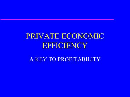 PRIVATE ECONOMIC EFFICIENCY A KEY TO PROFITABILITY.