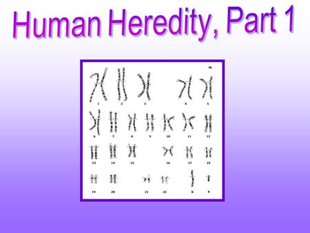 Human Heredity, Part 1.