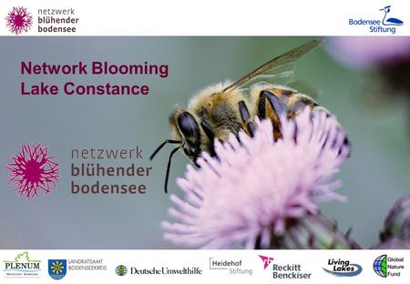 Network Blooming Lake Constance. Economic & ecological impact of bees and other pollinating insects Pollination of economic plants 84% of European economic.
