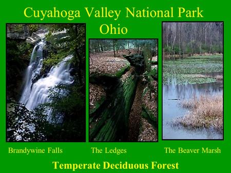 Cuyahoga Valley National Park Ohio Temperate Deciduous Forest Brandywine FallsThe LedgesThe Beaver Marsh.