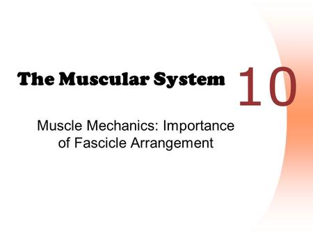 Muscle Mechanics: Importance of Fascicle Arrangement