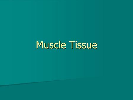 Muscle Tissue. Summary General General Types of muscle tissue Types of muscle tissue Functional characteristics Functional characteristics Functions Functions.