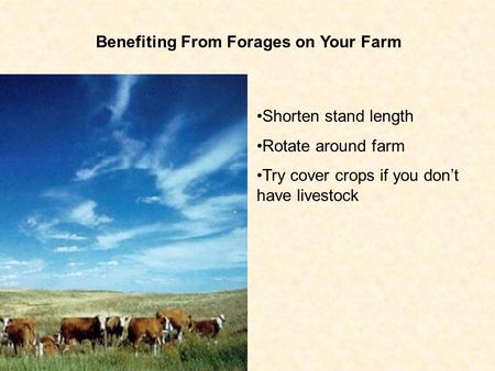 Benefiting From Forages on Your Farm Shorten stand length Rotate around farm Try cover crops if you don’t have livestock.