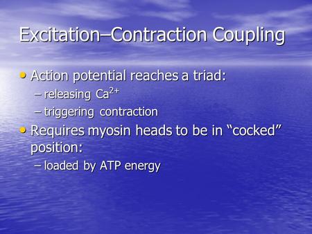 Excitation–Contraction Coupling
