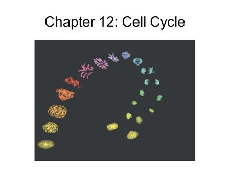 Chapter 12: Cell Cycle. Chromosome Sorting The goal of cell division typically is to equally partition two more-or-less identical copies of genetic material.