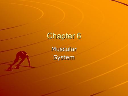 Chapter 6 MuscularSystem. Types of Muscle SkeletalSmoothCardiac.