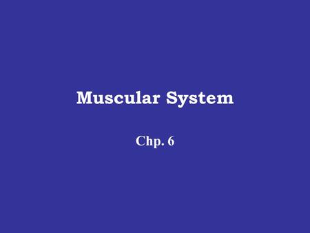 Muscular System Chp. 6.