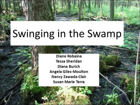 Swinging in the Swamp Diane Robaina Tessa Sheridan Diana Burich Angela Giles-Moulton Nancy Zawada-Clair Susan Marie Terra.