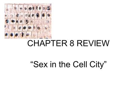 CHAPTER 8 REVIEW “Sex in the Cell City”. #1 Contrast asexual and sexual reproduction: ASEXUAL 1 parent Forms identical cells Forms 2 daughter cells SEXUAL.