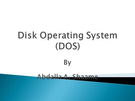 Disk Operating System (DOS)