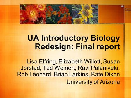 UA Introductory Biology Redesign: Final report Lisa Elfring, Elizabeth Willott, Susan Jorstad, Ted Weinert, Ravi Palanivelu, Rob Leonard, Brian Larkins,