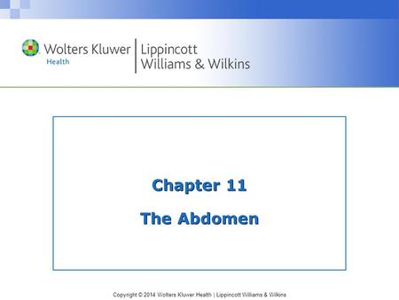 Chapter 11 The Abdomen.