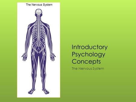 Introductory Psychology Concepts