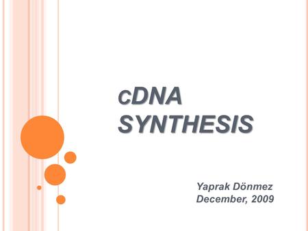 C DNA SYNTHESIS Yaprak Dönmez December, 2009. 1.2% agarose, 70 V, 90 min RNA Ladder W3 G2 F2 4 EN/DA F/ITTH3 EC2 B/A 1 Y RNA Ladder.
