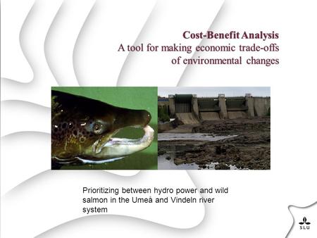 Cost-Benefit Analysis A tool for making economic trade-offs of environmental changes Prioritizing between hydro power and wild salmon in the Umeå and Vindeln.